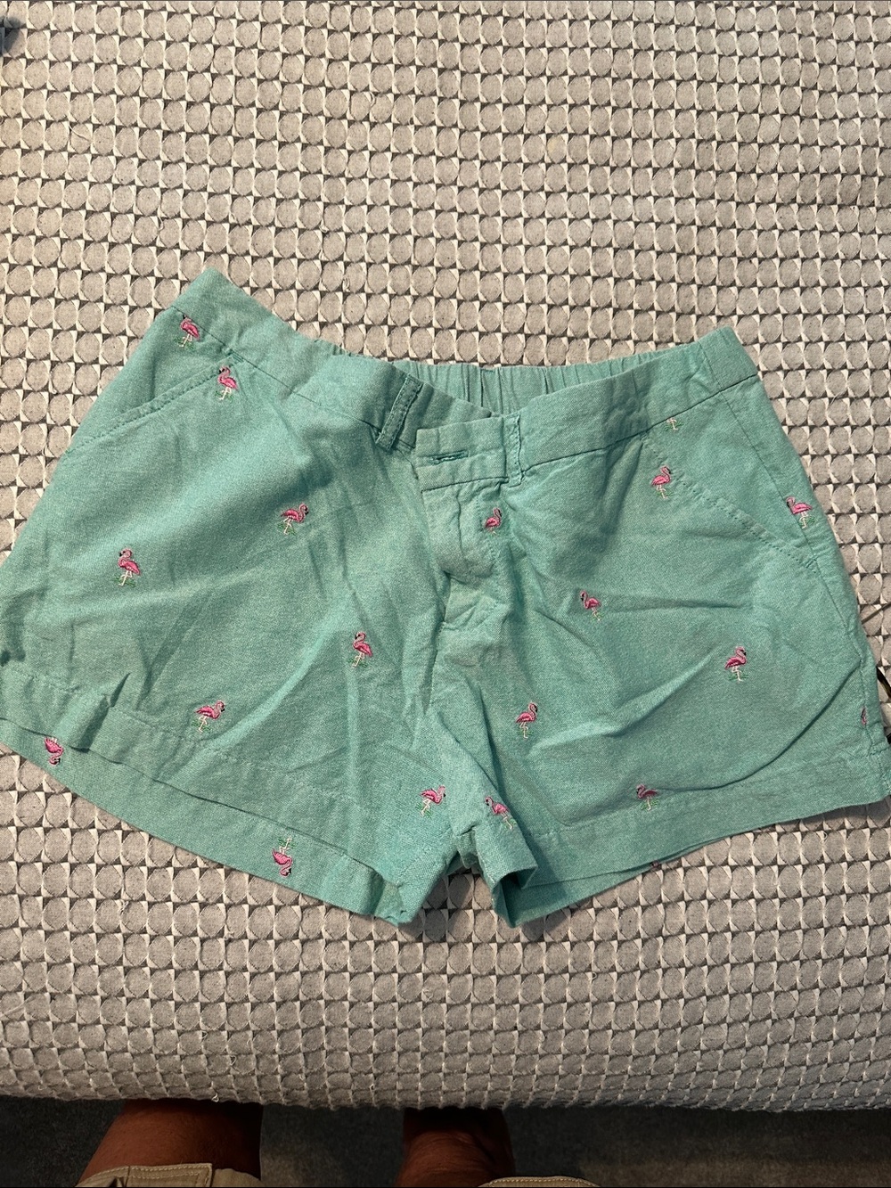 chubbies Mint Green Flamingo Embroidered Athletic Shorts
